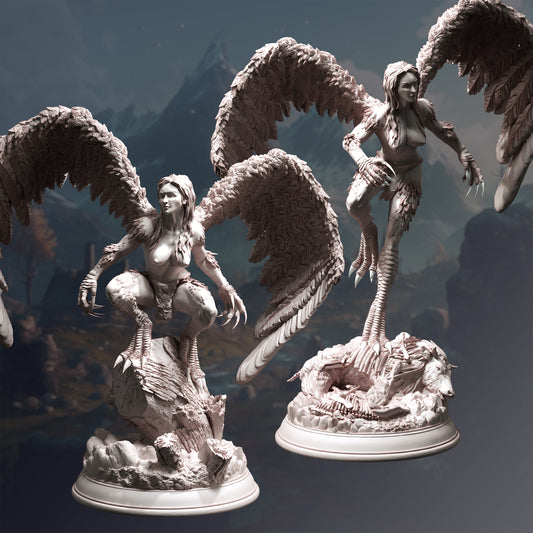 Flying Harpy Monster Siren Hag Duo Miniature 32mm Scale - Hill Harpies by DM Stash