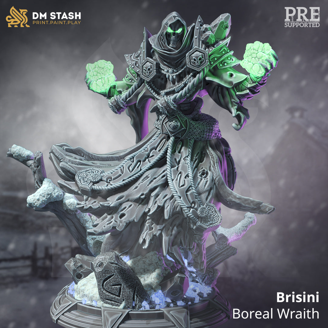 Undead Wraith Necromancer Villain 32mm Scale - Dark Wraith Lich by DM Stash